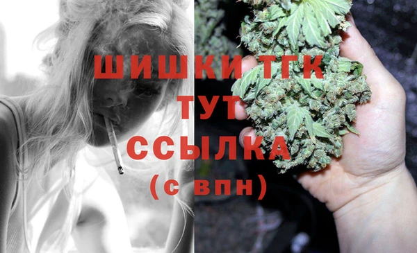 гидропоника Саяногорск